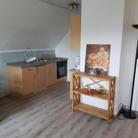 Apartmán Ferienbeianne Hemmingstedt Exteriér fotografie
